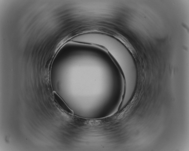 X0000090970858200708301224