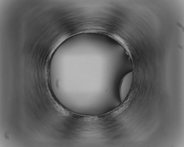 X0000090970859200708301224