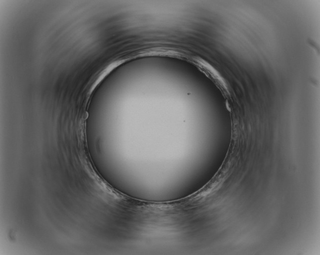 X0000090970860200708301224