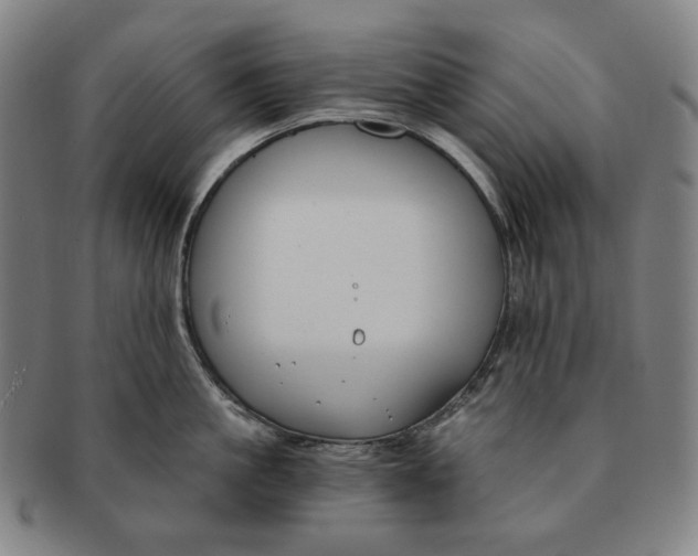 X0000090970861200708301224