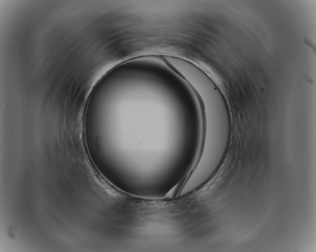 X0000090970862200708301224