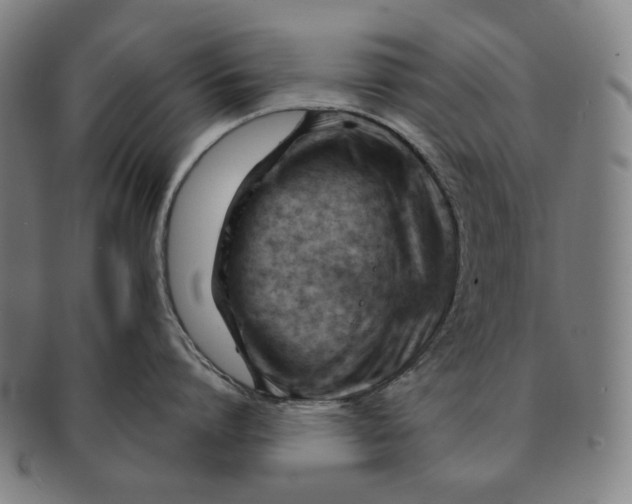 X0000090970864200708301225