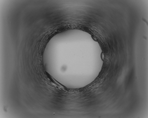 X0000090970865200708301224