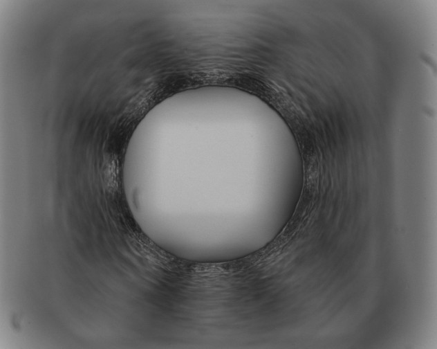 X0000090970866200708301224