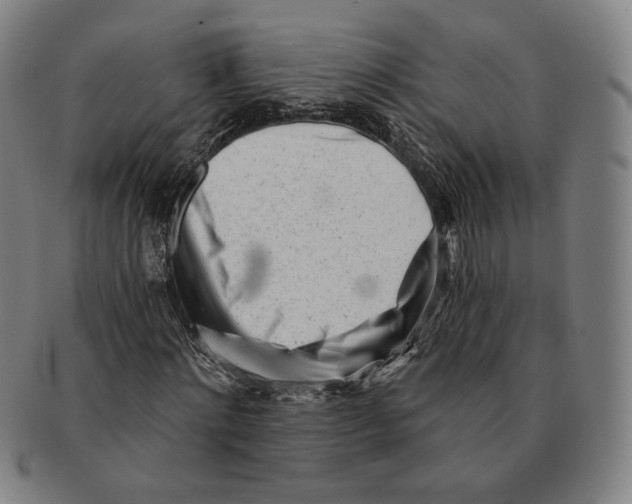 X0000090970868200708301224