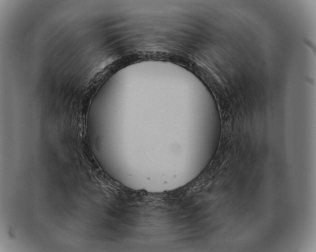 X0000090970870200708301224