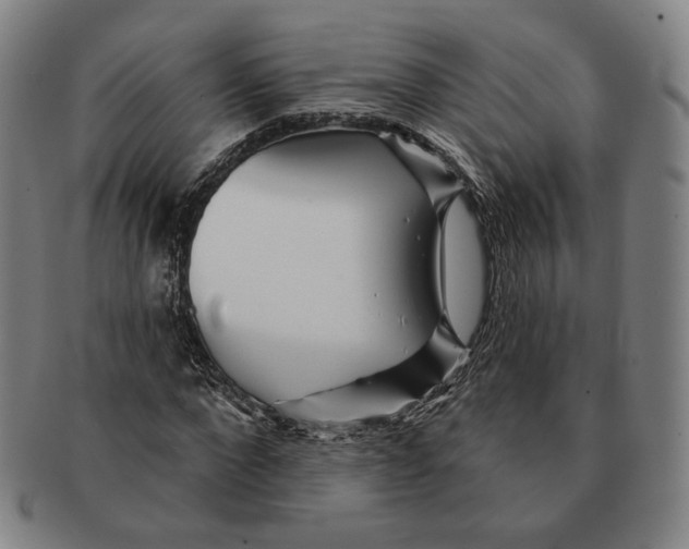 X0000090970872200708301224