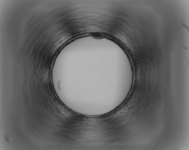 X0000090970873200708301224