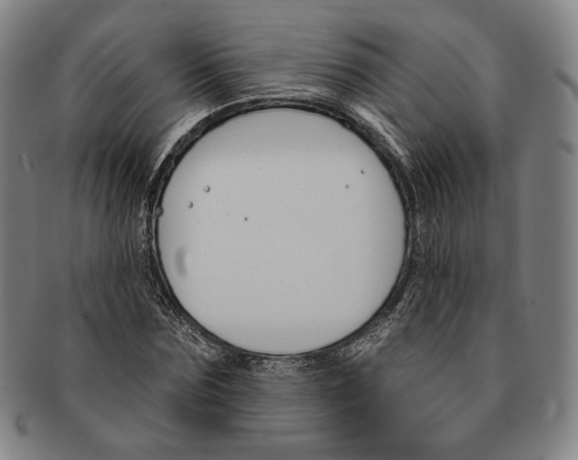 X0000090970875200708301224