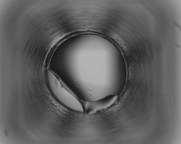 X0000090970876200708301224