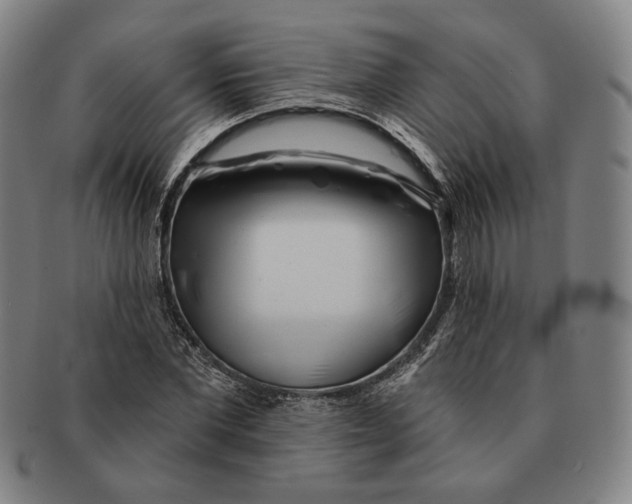 X0000090970877200708301224