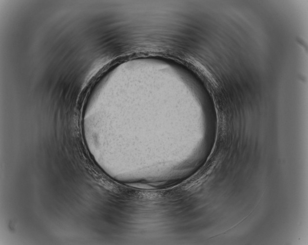 X0000090970878200708301224