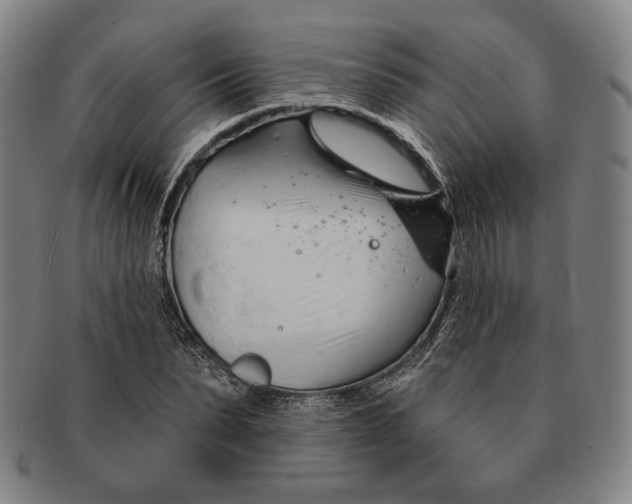 X0000090970879200708301224