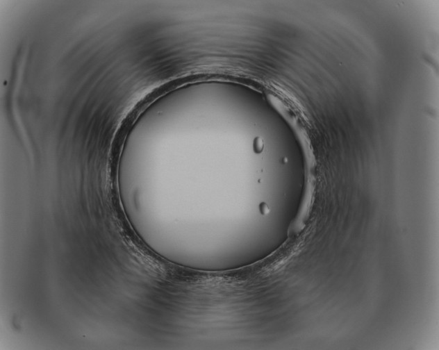 X0000090970880200708301223