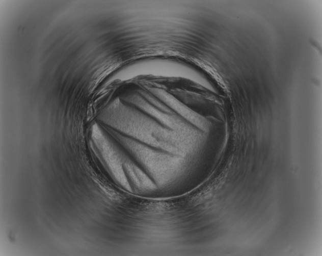 X0000090970881200708301223