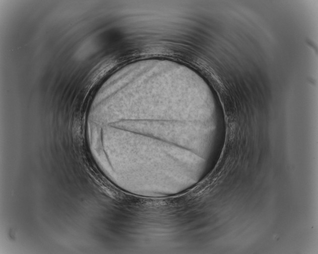 X0000090970882200708301223