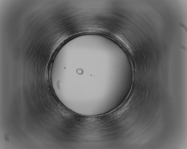 X0000090970883200708301223