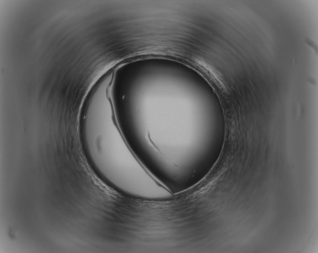 X0000090970884200708301223