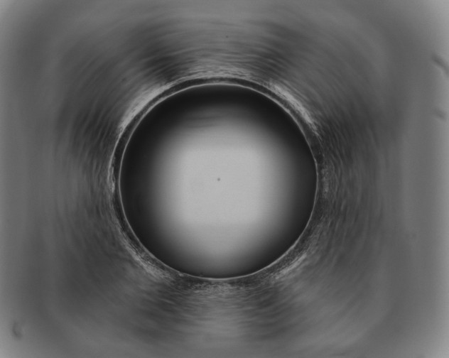 X0000090970885200708301223