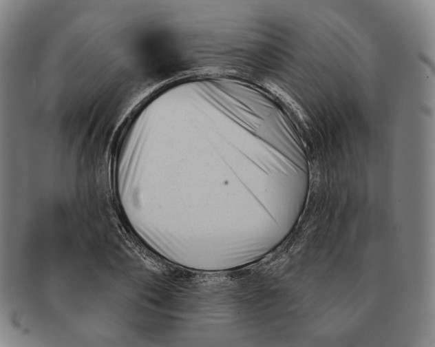 X0000090970886200708301223