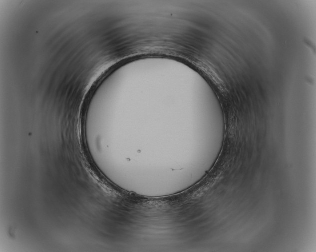 X0000090970888200708301223