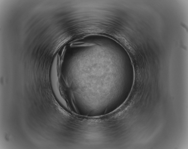 X0000090970889200708301223