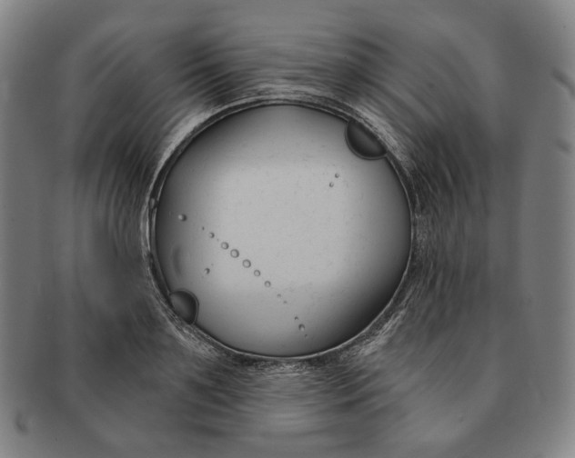 X0000090970891200708301223