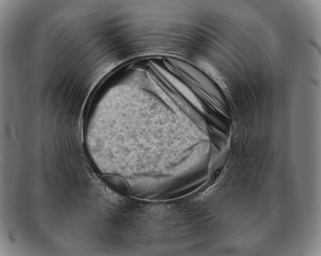 X0000090970892200708301223