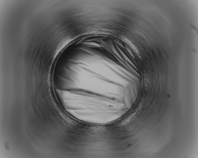 X0000090970893200708301223