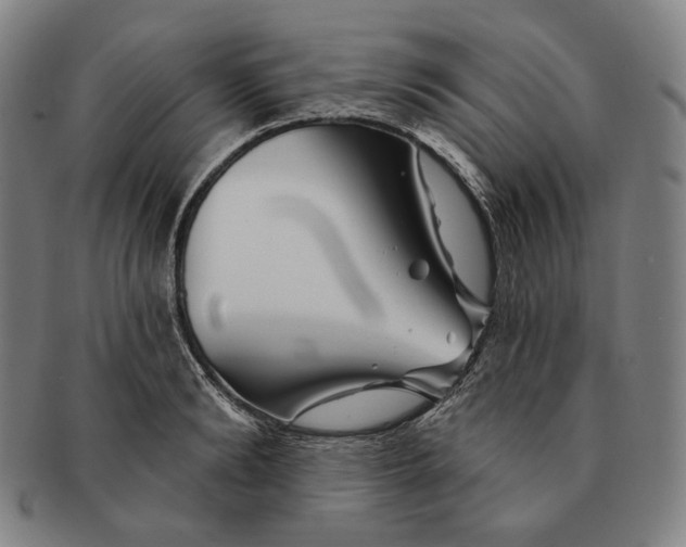 X0000090970894200708301223