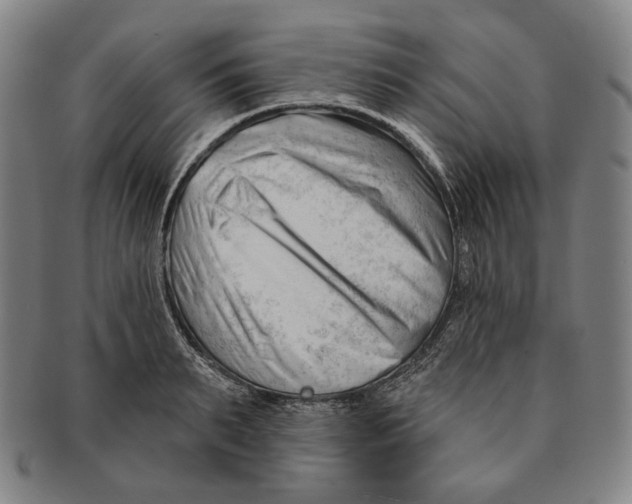 X0000090970895200708301223