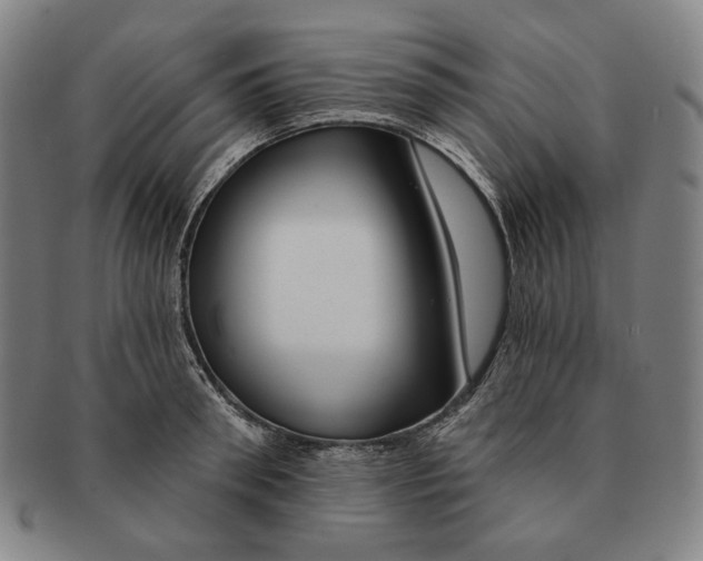 X0000090970898200708301223