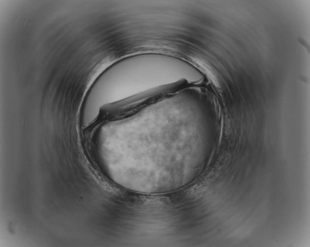 X0000090970899200708301223