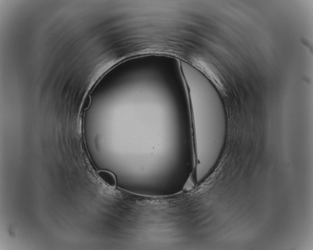 X0000090970900200708301223