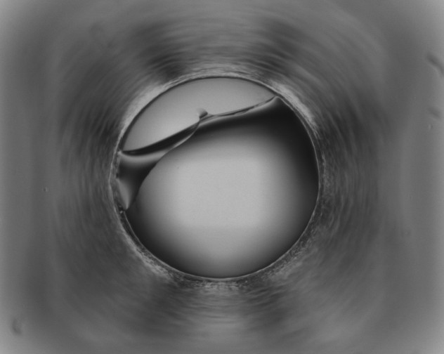 X0000090970901200708301223