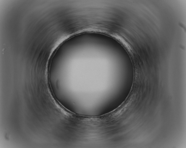 X0000090970902200708301223