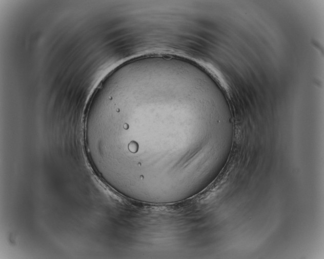 X0000090970903200708301223