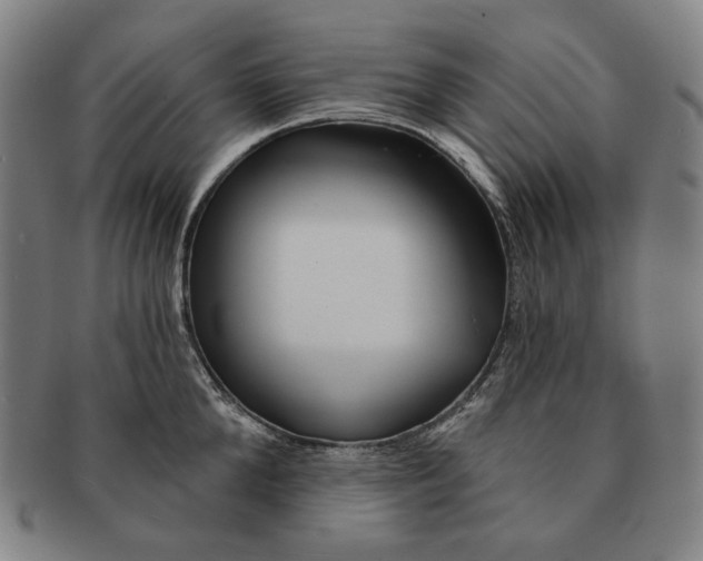 X0000090970904200708301223