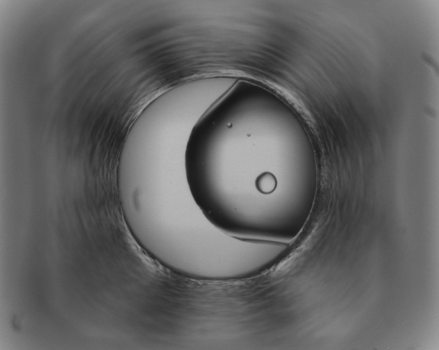 X0000090970905200708301223