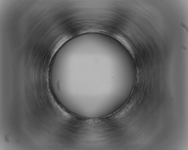 X0000090970906200708301223