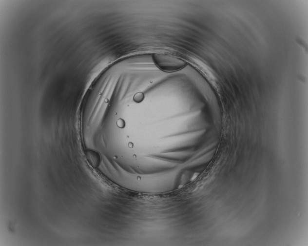 X0000090970907200708301223