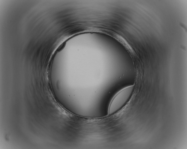 X0000090970908200708301223