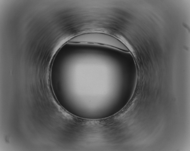 X0000090970909200708301223