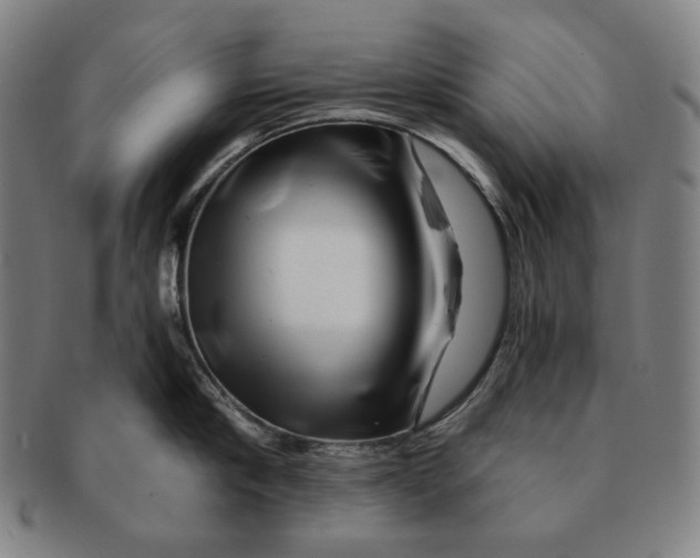 X0000090970910200708301223