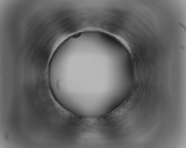 X0000090970911200708301223