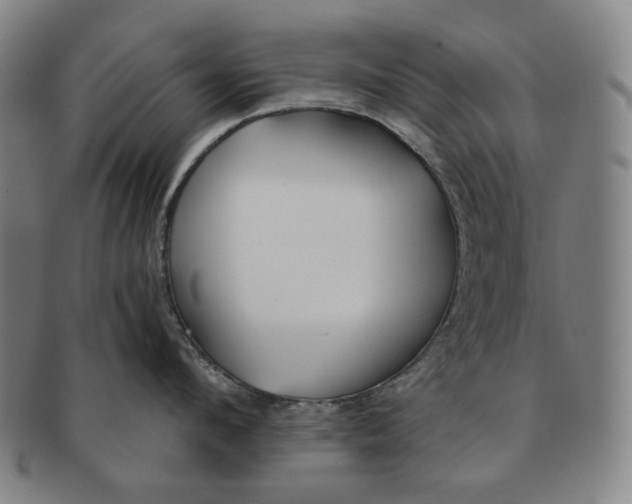 X0000090970912200708301223