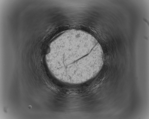 X0000090970913200708301222