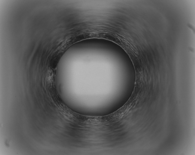 X0000090970914200708301222