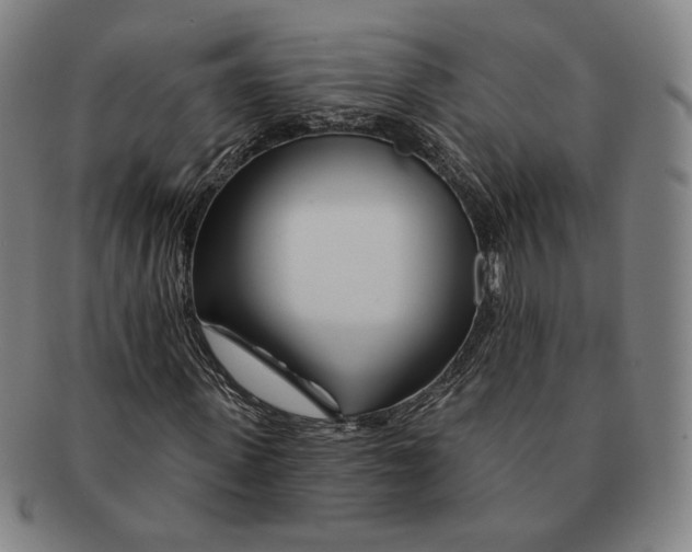 X0000090970915200708301222