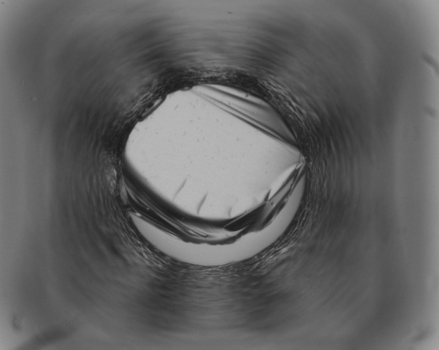 X0000090970916200708301222